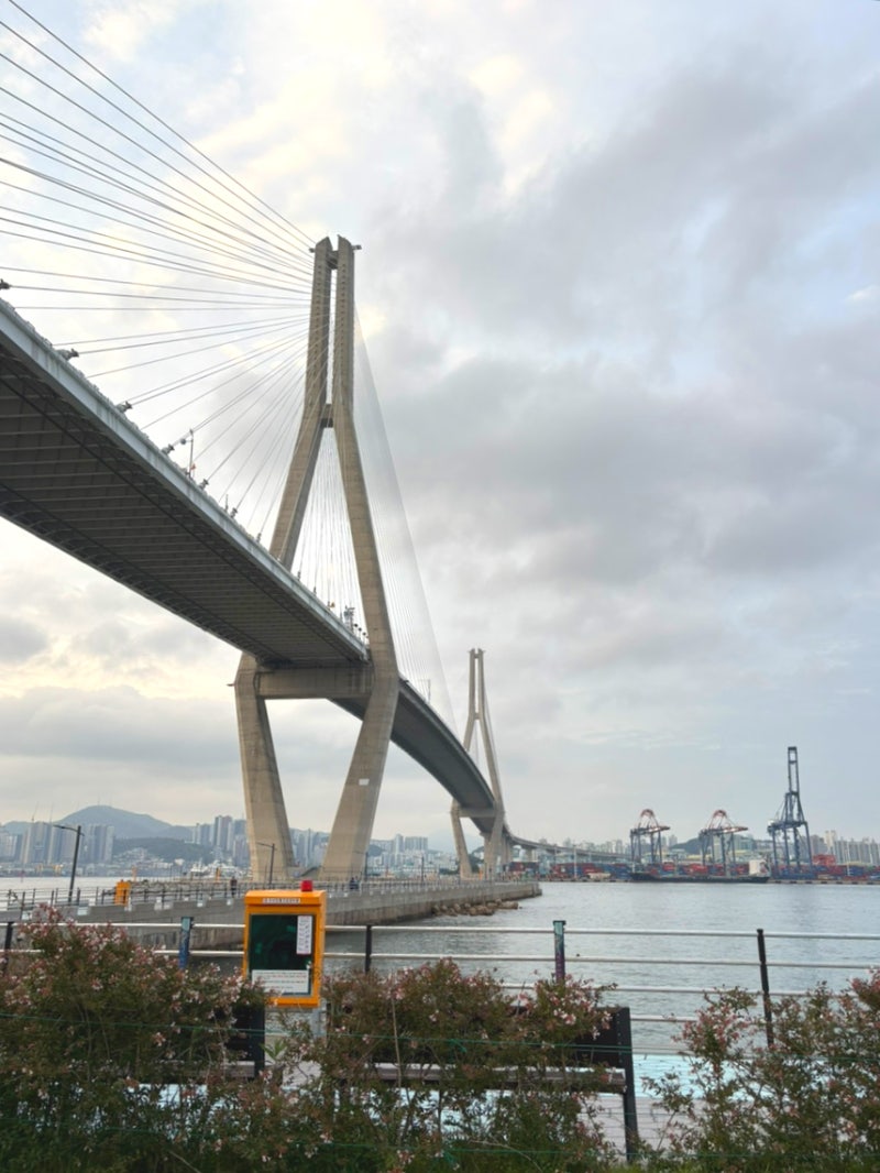 영도 마리노캠핑장 38번 명당 후기｜부산항대교 뷰 최고였던 퇴근박 캠핑