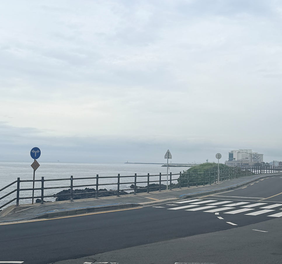 돈해야 사진 3