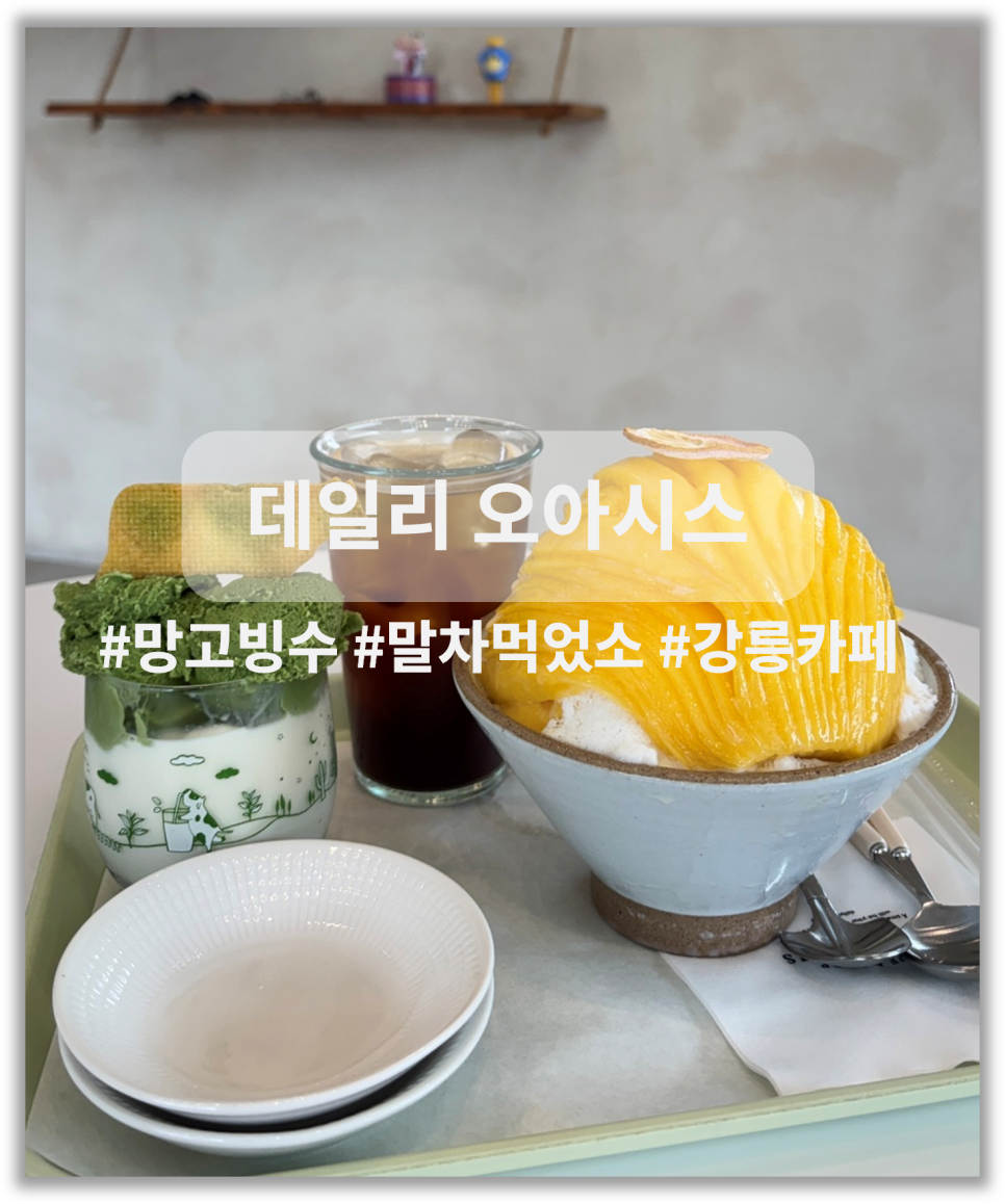 데일리오아시스 강릉점 사진 1