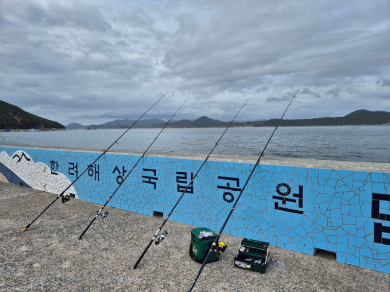 통영 현지인이 알려준 원투 낚시 포인트 보리멸이 계속 나오는 멋진 장소