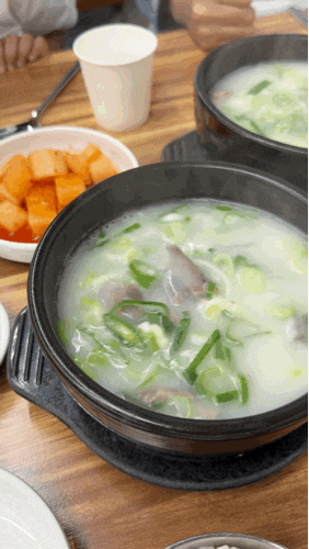 대전도가니탕맛집 설렁탕맛집 차갑게 식히면 묵이 되는 진짜 둔산동 인생곰탕