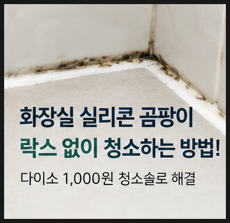 화장실 실리콘 곰팡이, 락스 없이 청소하는 방법! 다이소 1,000원 청소 솔로 해결?