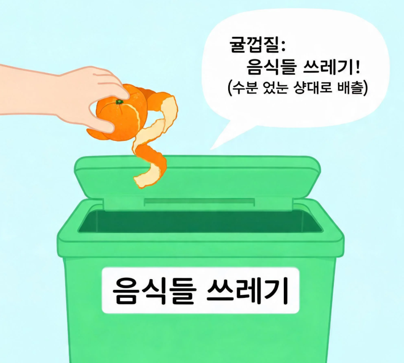 귤껍질, 음식물 쓰레기일까? 일반 쓰레기일까? (올바른 과일 껍질 분리수거 기준 총정리)