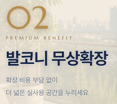 더드림 사진 3