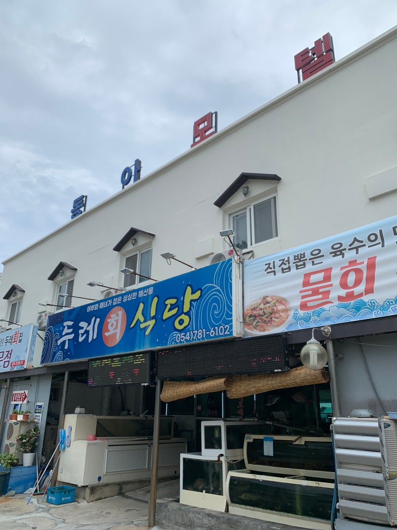 울진 동아모텔 ㅣ 전 객실 오션뷰, 가격파괴 바다뷰 숙소 ㅣ 경북 울진 숙소 추천