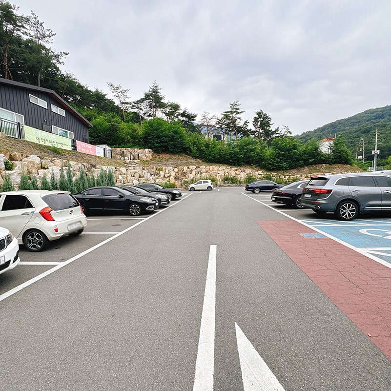 신불산에봄 사진 3