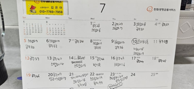 알콜홀릭의 금주 50일 후기. 금단증상 끝. 뚱엄마의 주 5일 스텝퍼 운동. 금주로 식비 하강중