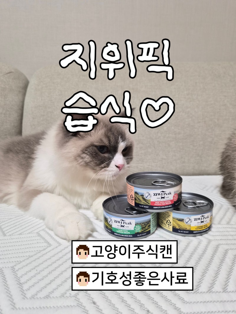 [리뷰]지위픽 고양이주식캔 솔직 후기! 기호성 좋은 프리미엄 습식 사료 추천