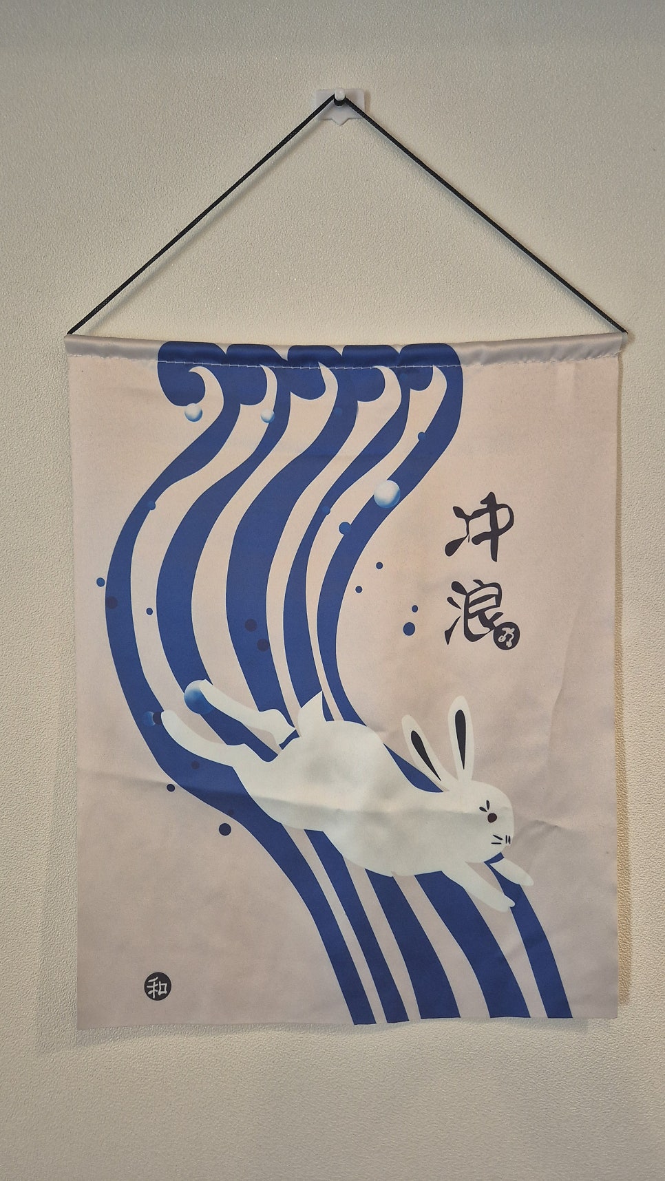 모이 사진 5