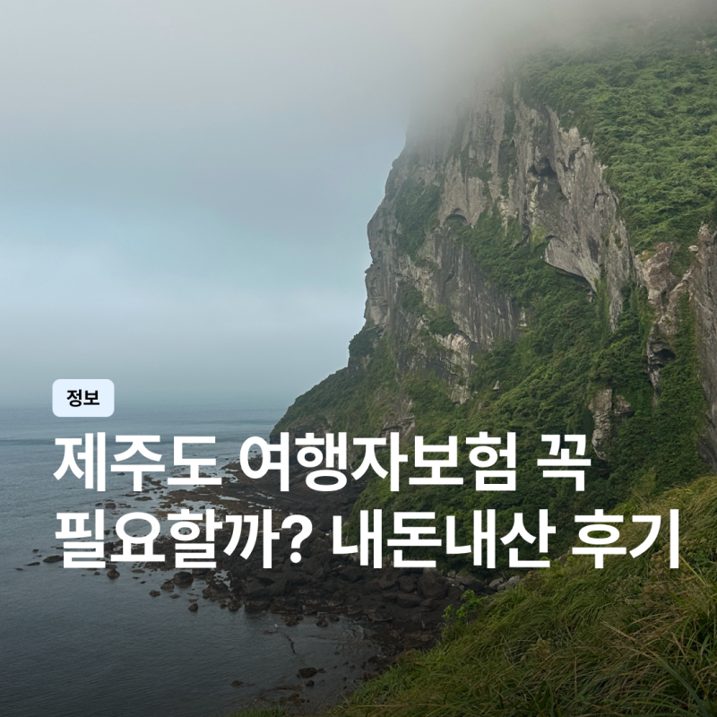 제주도 여행자보험 꼭 필요할까? 결항 대비 내돈내산 가입 후기