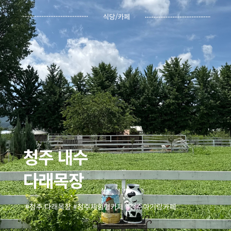 [청주내수]다래목장, 청주아기랑카페, 청주체험형카페, 청주농장카페, 내수다래목장, 청주다....
