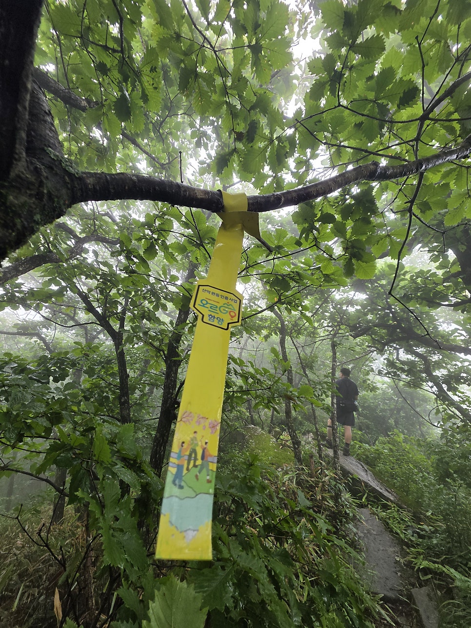 금원산 사진 3