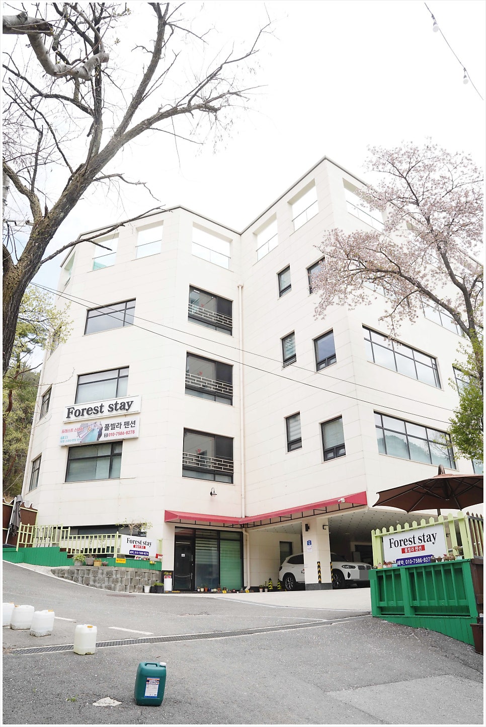 포레스트스테이 사진 1