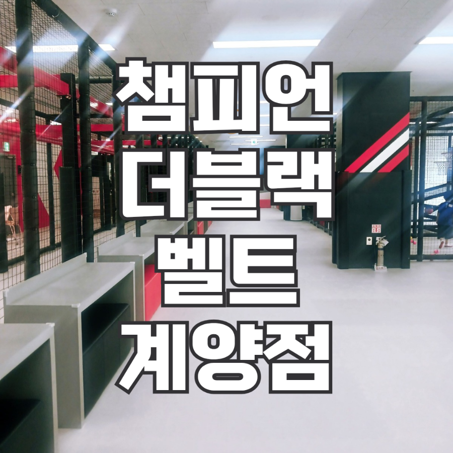 챔피언 더블랙벨트 계양점 사진 1