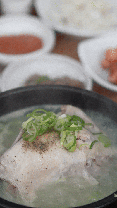 진주 금산 삼계탕 맛집 금산그때그집｜복날에는 오픈런 하세요! 정말 사람 많습니다