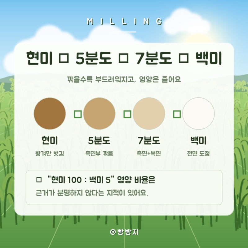쌀 품종 비교 햅쌀 나오는 시기 · 현미 도정도 차이 · 수향미 임금님표이천쌀 (밥맛 좋은 쌀....