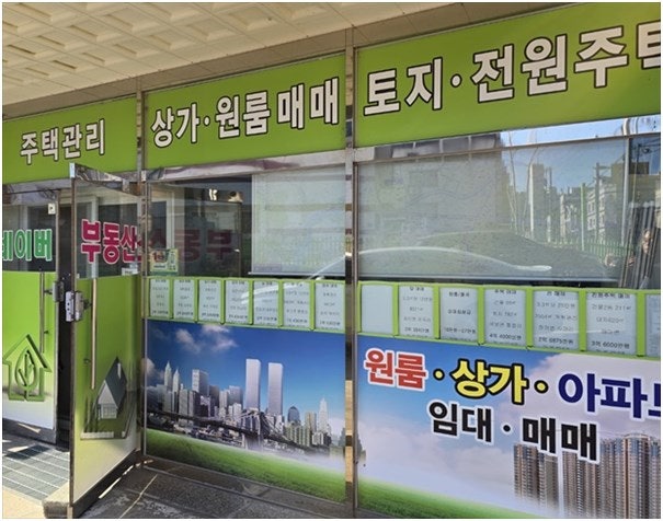 동산 사진 5