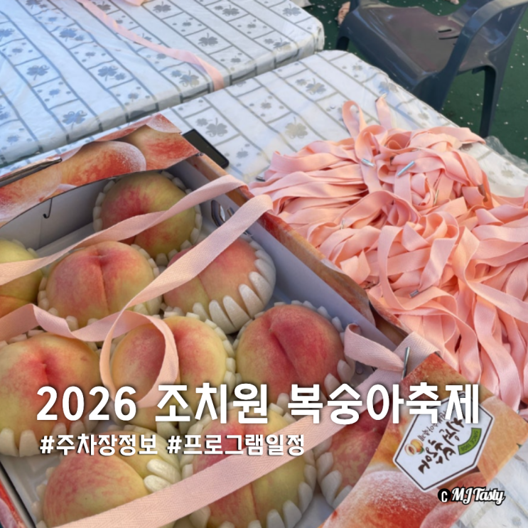 2026 세종 <b>조치원 복숭아축제</b> 프로그램 주차 기본정보