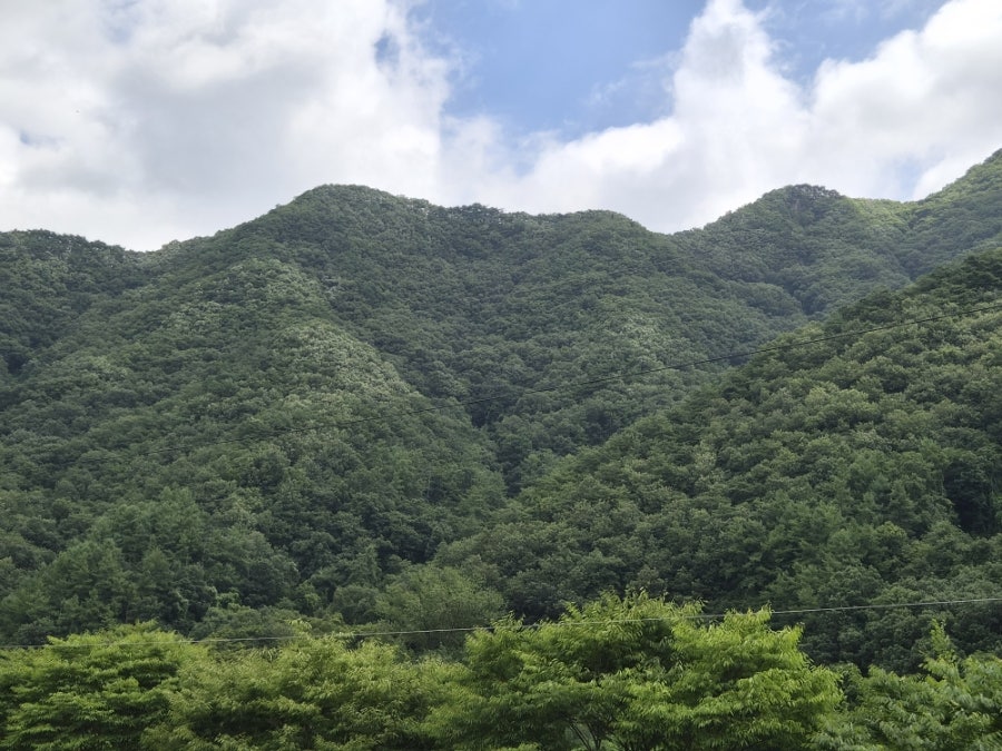 아임히어 사진 4