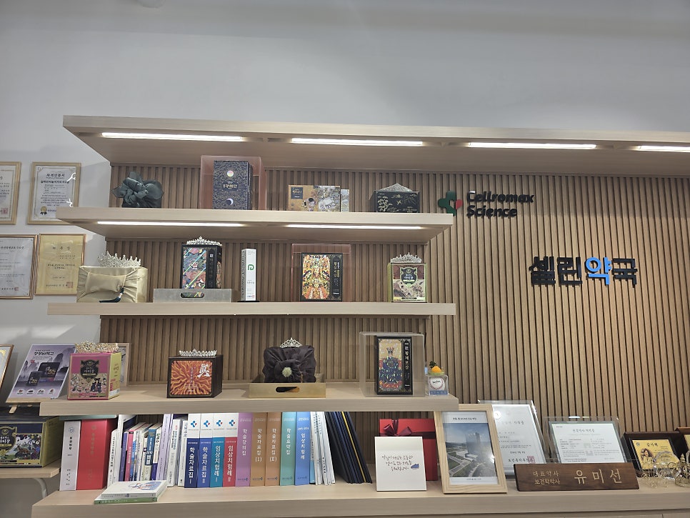 셀린약국 사진 3