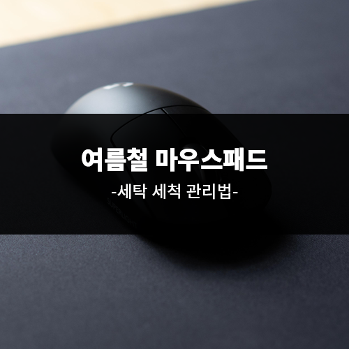 여름철 마우스패드 세탁 세척 관리법