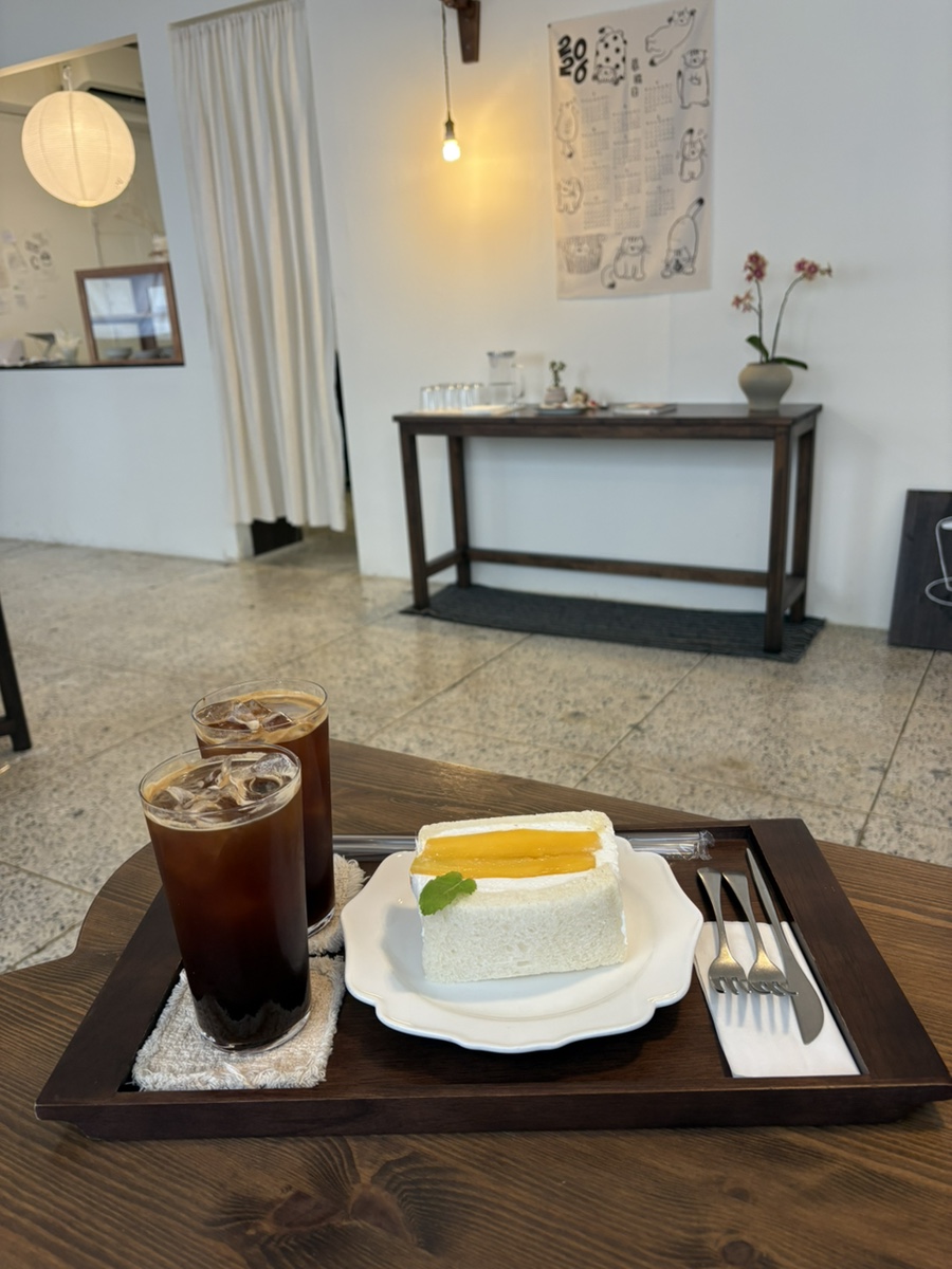 마시코히 사진 6