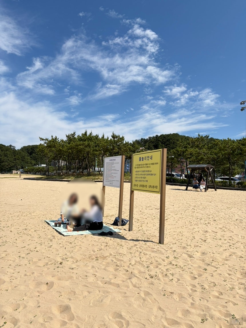 얼 삼척 사진 5