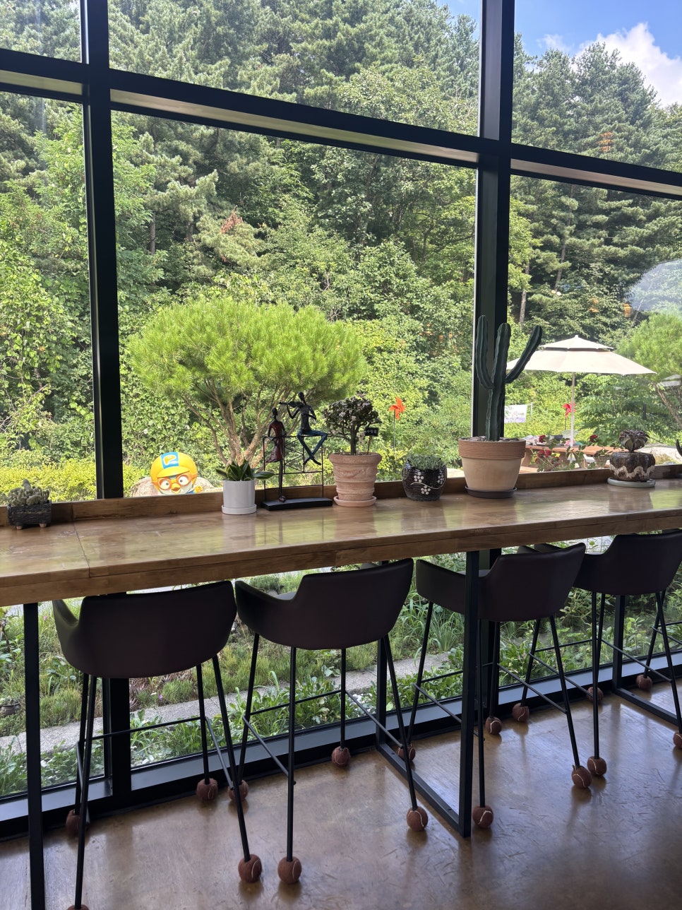 젤코바 사진 6