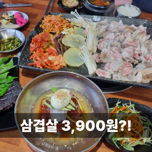 속초 삼겹살 가성비 끝판왕! 속초해수욕장 고기집 일품대패3900냥 솔직후기