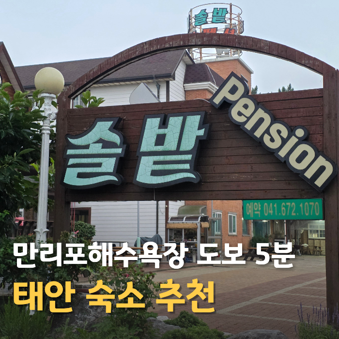 태안 만리포 숙소 추천｜솔밭펜션 가격·주차·만리포해수욕장 도보 5분 후기