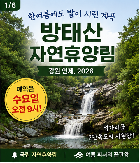 휴양림 25편 / 방태산자연휴양림 예약 방법 총정리 — 적가리골 2단폭포, 다자녀 우선예약까....