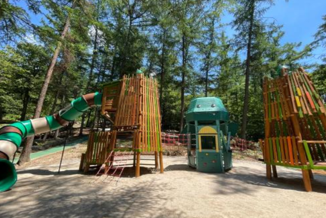 용인자연휴양림 야영장 사진 5