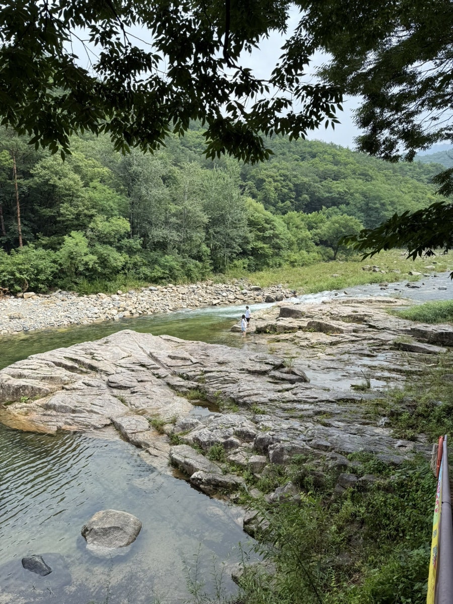단양글램핑펜션 사진 6