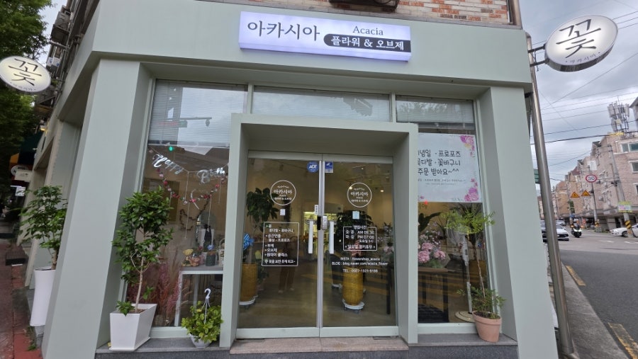 아카시아 사진 5