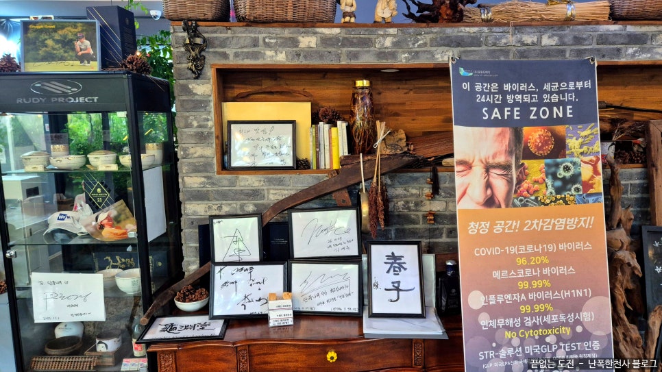 단풍나무 사진 5