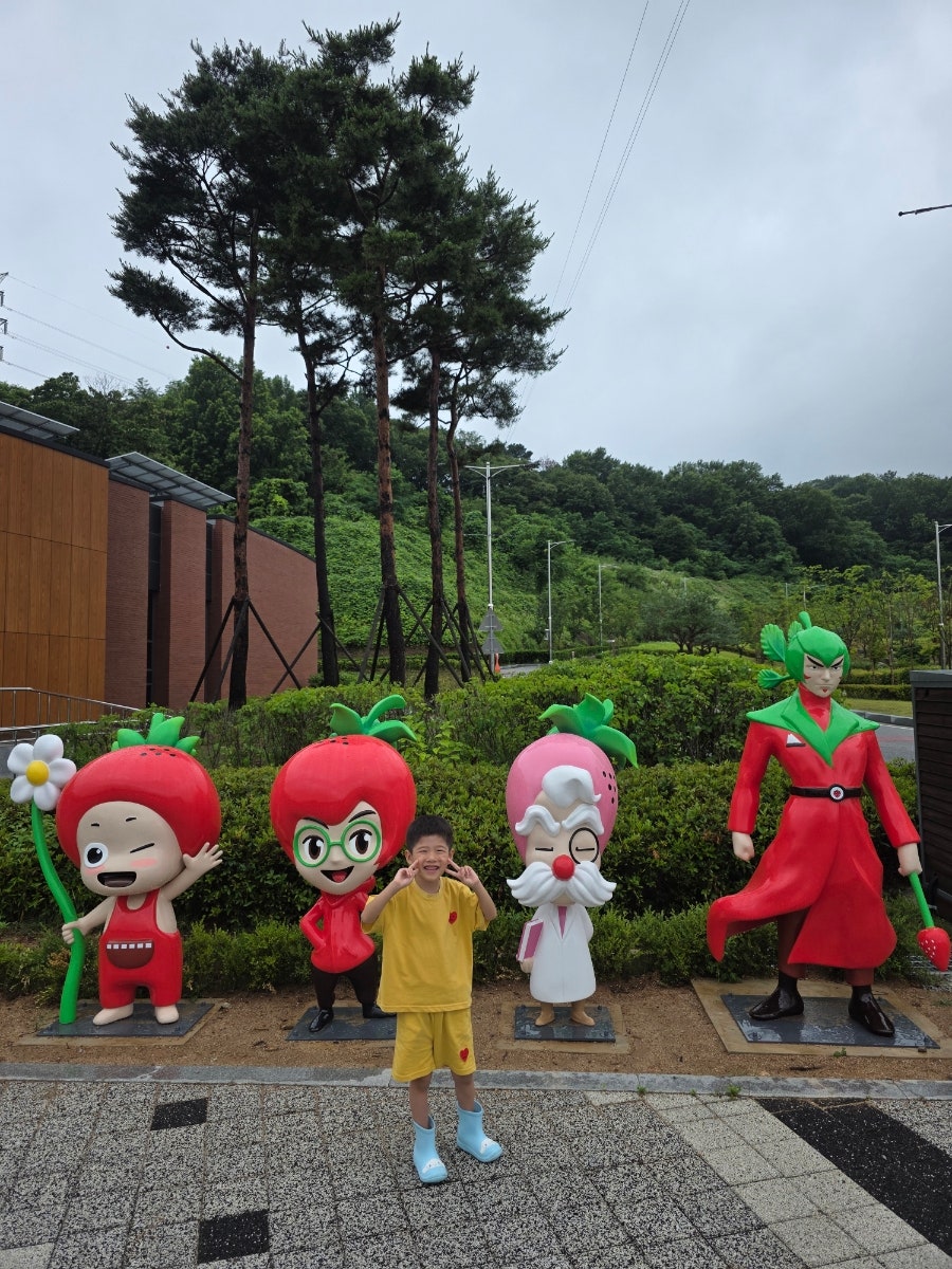 딸기향농촌테마공원 사진 6