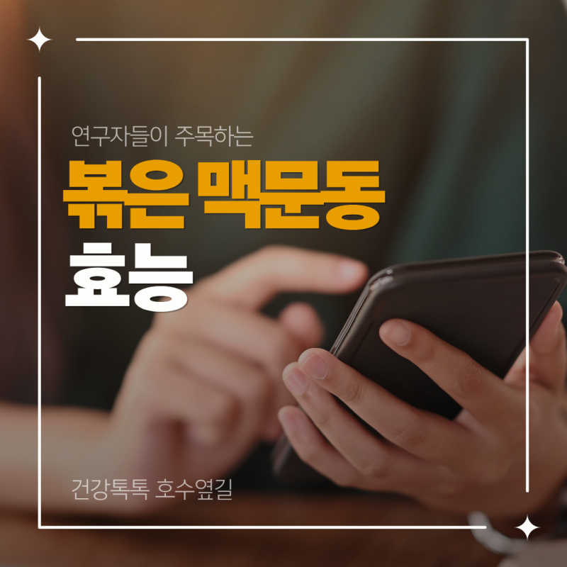 볶은 맥문동 효능, 진액·차·가루 비교 정리
