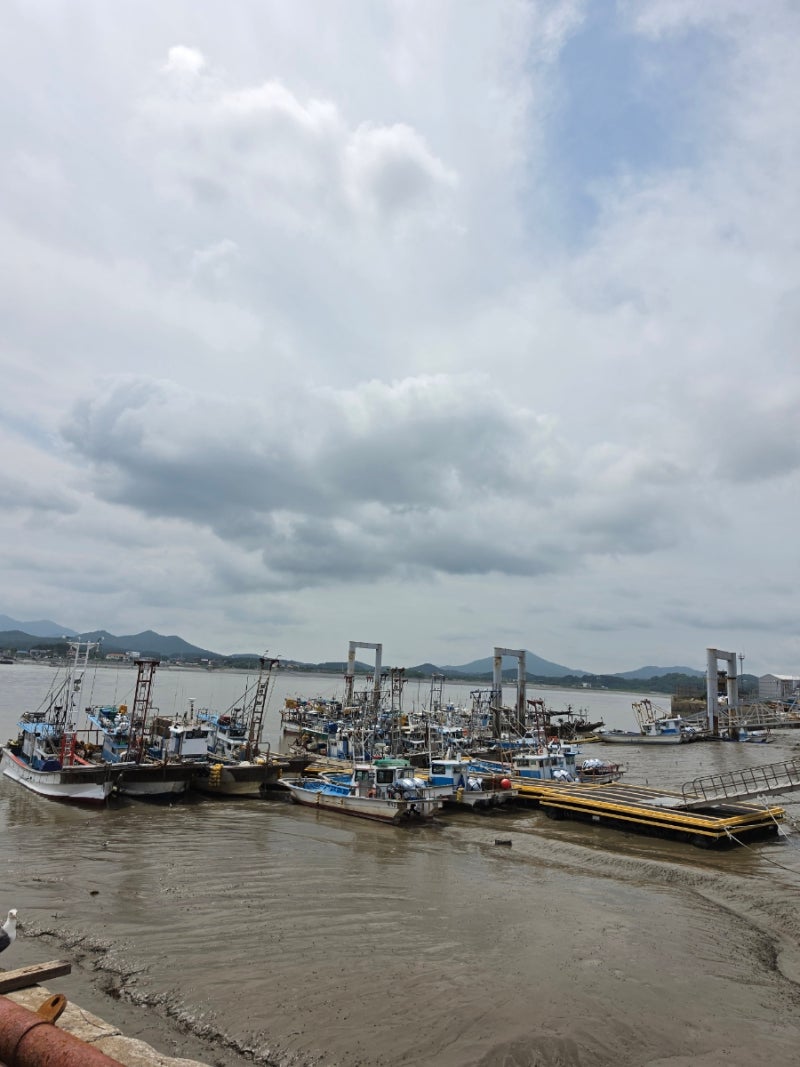 김포 대명항 수산시장 다녀왔어요｜꽃게 가격·대하·횟집·주차까지 총정리