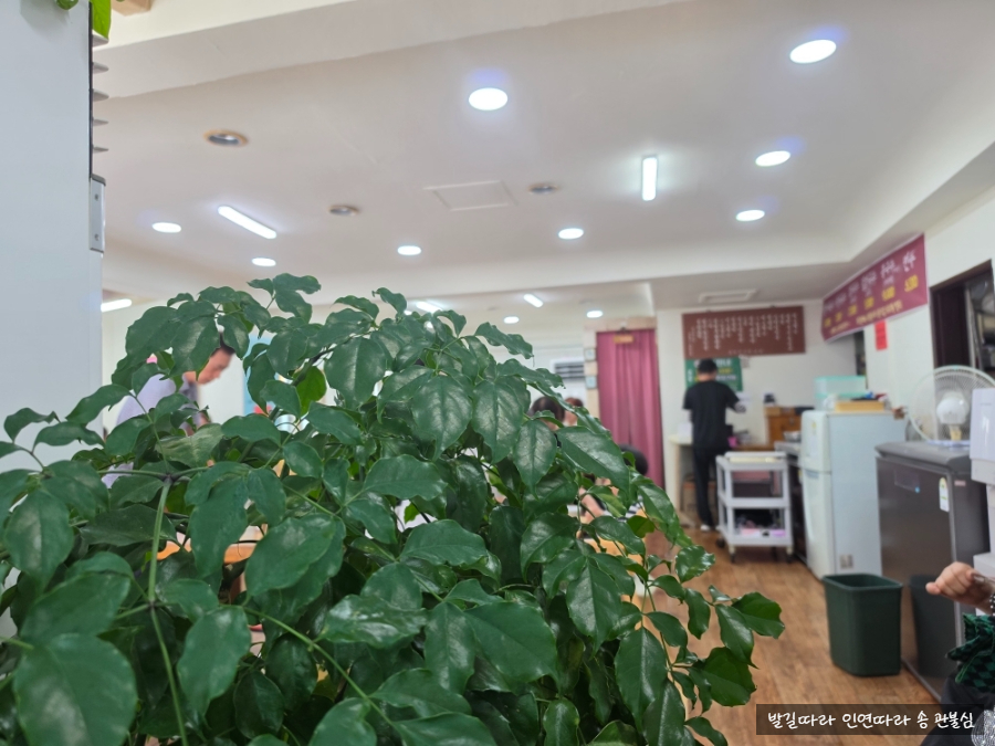 별미국수 사진 5