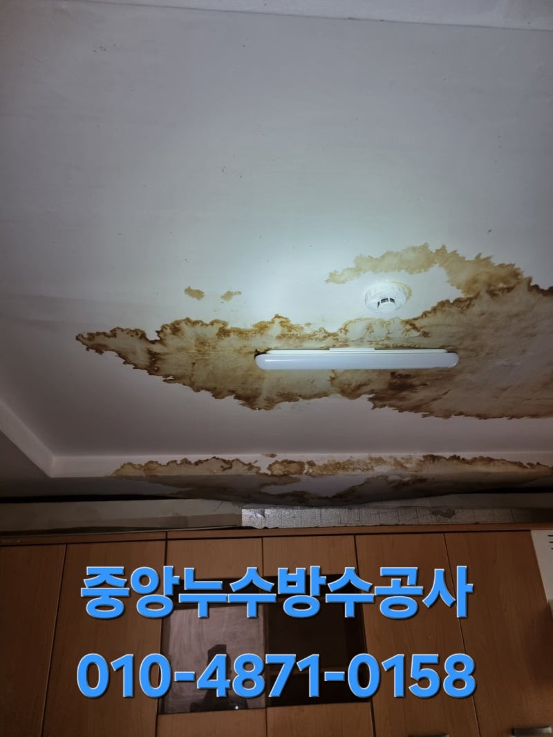 원인세대 누수공사보험/누수피해보험, 일상생활배상책임보험, 개인 손해사정사 선임이란?