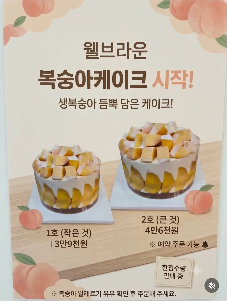 웰브라운 사진 6