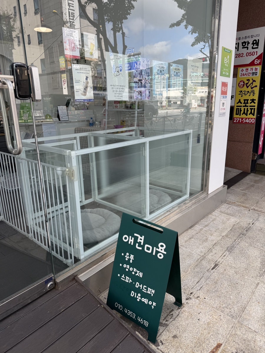아토 사진 3