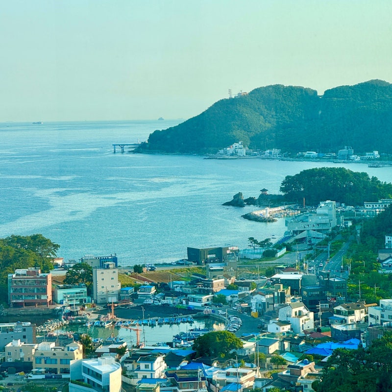 부산 여행┃뚜벅이 여행 코스 추천 2박 3일 부산여행
