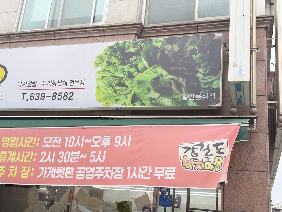 강길도낙지마을 사진 2