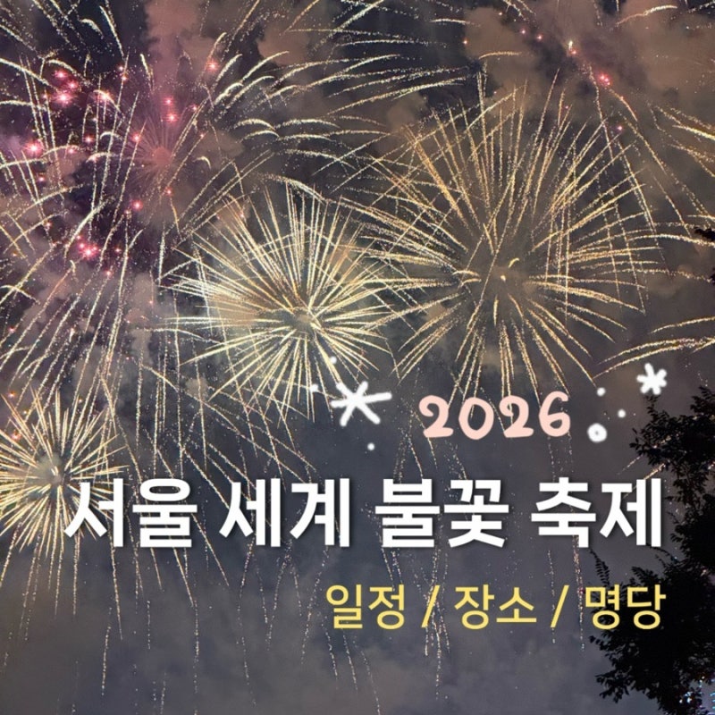 2026 한화 서울세계불꽃축제 정보 | 25년 여의도 한강 명당 후기 꿀팁, 원효대교 남단 이랜드 ....