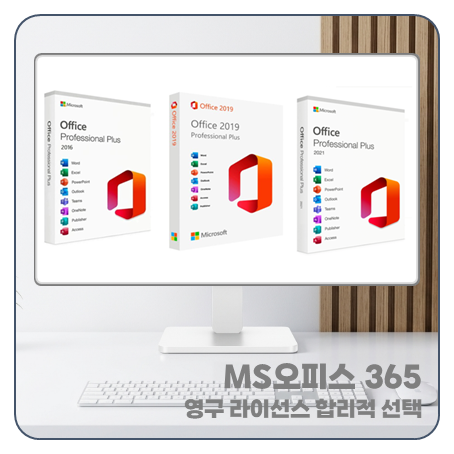 마이크로소프트 365 MS 오피스 office 영구 정품키 선택고민?