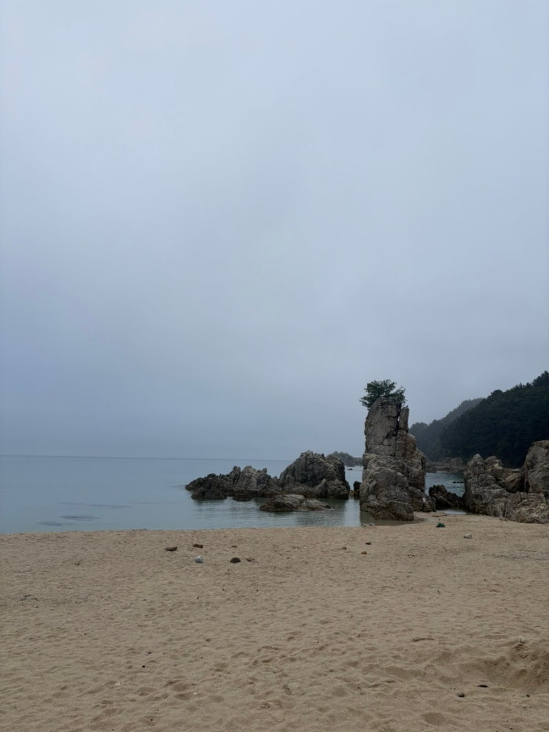바닷가 노지 무료 캠핑은 강원도 삼척 신남해수욕장 신남해변