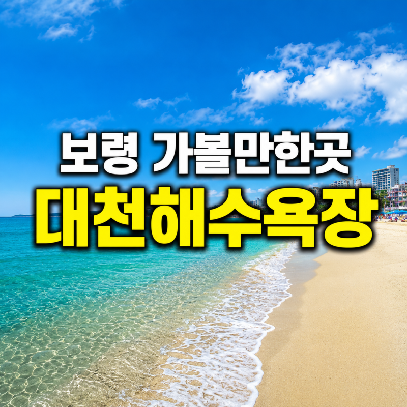 보령 가볼만한곳 | 대천해수욕장 주차 평상 명당 맛집 완벽 가이드