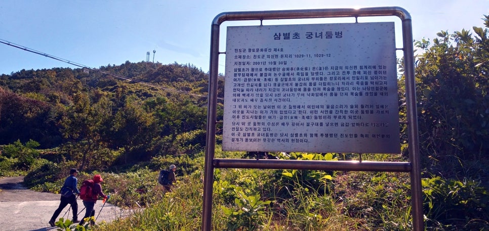 돈지백구테마센터 사진 6