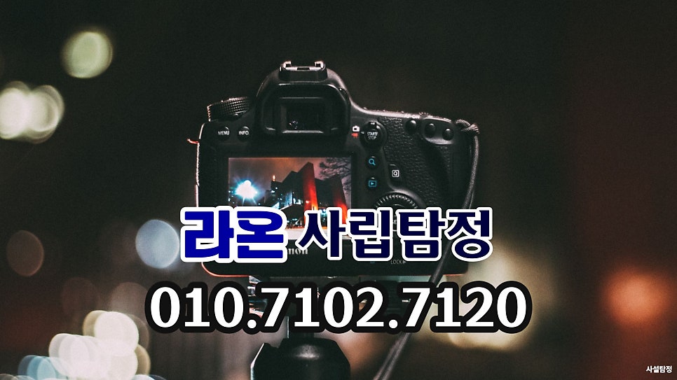 시선 사진 5